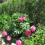 Willa Dewajtis Bed & Breakfast Zakopane