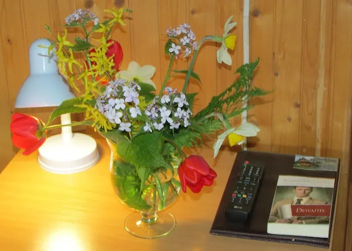 Willa Dewajtis فندق مبيت وإفطار زاكوباني