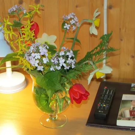 Willa Dewajtis Bed and breakfast Zakopane