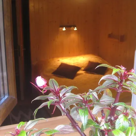 Bed & Breakfast Dewajtis 2*