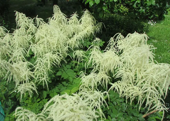 Willa Dewajtis Nocleg ze śniadaniem