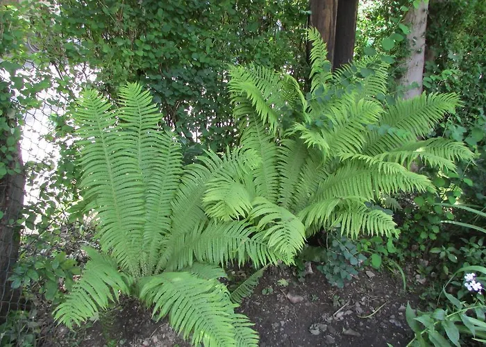 Nocleg ze śniadaniem Willa Dewajtis