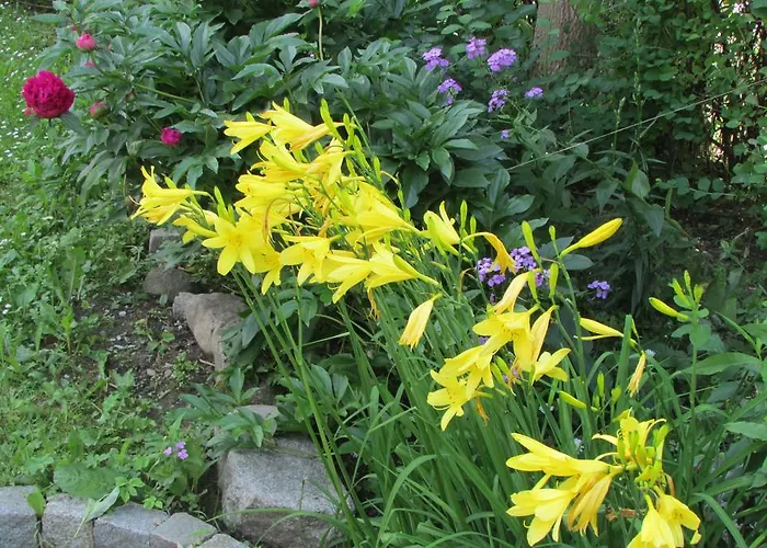 Willa Dewajtis Закопане