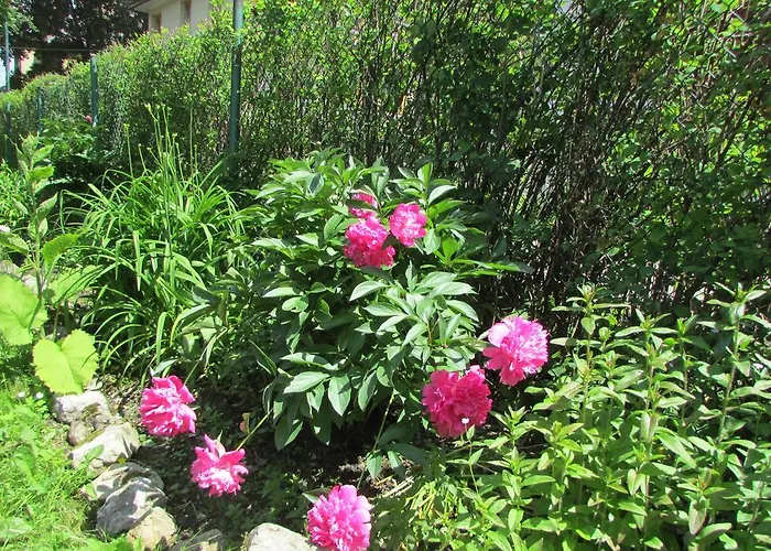 Willa Dewajtis Nocleg ze śniadaniem Zakopane